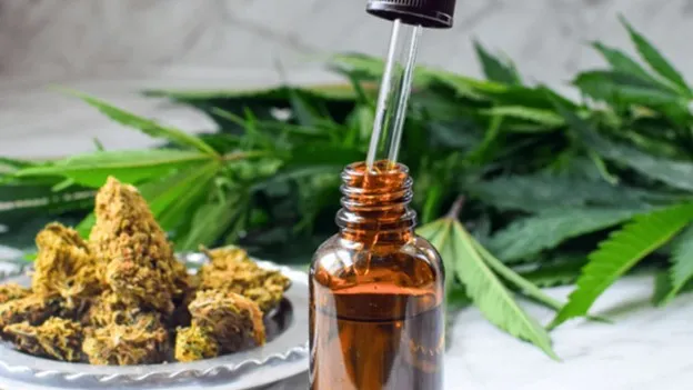 Cannabis tincture bottle with dropper showing liquid cannabis oil for precise dosing.