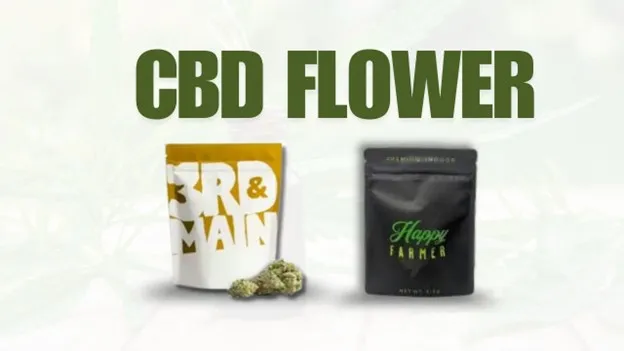 Close-up of CBD flower buds in jars, showing Indica, Sativa, and Hybrid varieties with visible trichomes and terpene aromas.