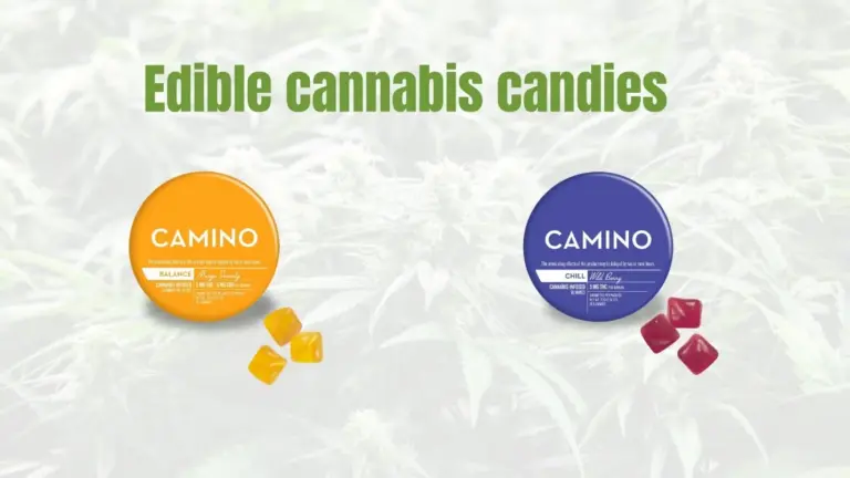 edible cannabis candies colorful infused sweets online dispensary